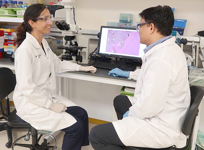 Unravelling Pulpal Health in Baby Teeth: A Step towards Better Dental Care for Children